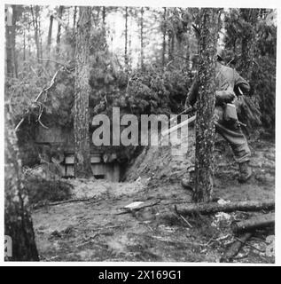 Britische Armee-Truppen rücken durch den Reichswald vor und treffen auf deutsche Einbauten auf dem marsch, die durchsucht werden, während sich feindliche Truppen in stärkere Befestigungen unter der 21. Armeegruppe zurückziehen. Stockfoto