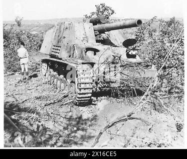 8. ARMEE: VERSCHIEDENE - diese deutsche Selbstfahrkanone, die bei Cerasolo gefangen genommen wurde, ist fast doppelt so groß wie unsere Priest s.P.-Kanone. Das Kaliber beträgt ca. 150 mm und die Pistole ist neu, in gutem Zustand und funktionsfähig. Die Größe der Waffe kann anhand des Mannes gemessen werden, der neben ihr steht, British Army Stockfoto