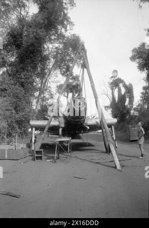 MIT DEM FLOTTENLUFTARM IN DEN TROPEN. JULI 1944: ROYAL MARINEFLUGSTATION PUTTALAM UND ROYAL MARINEFLUGSTATION CHINA BAY. MÄNNER DER FLOTTENFLOTTE, DIE MIT DER OSTFLOTTE IN DEN TROPEN ARBEITEN. - Fleet Air Arm Maintenance Rating entfernt das Triebwerk eines Fairey Fulmar Marineflugzeugs mit Hilfe eines Blocks und eines Kampfes vor dem Hintergrund des Dschungels bei Puttalam Stockfoto