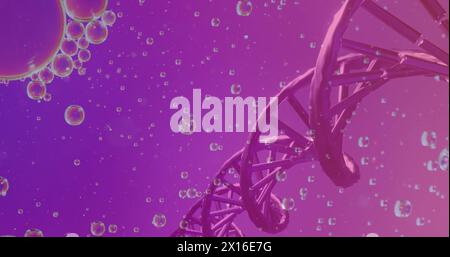 Bild von Blasen über dna-Strang auf violettem Hintergrund Stockfoto