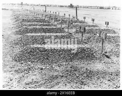 LEBEN IN Einem LIBYSCHEN GEFANGENENLAGER - Ein sehr gepflegter Friedhof in der Nähe des Lagers; anstelle von Namen werden Zahlen der britischen Armee verwendet Stockfoto