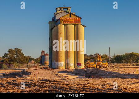 Verlassene Getreidesillos bei Big Tex Grain Site in San Antonio. Diese Silos wurden von der EPA für die Sanierung und die Renovierung gemischter Verwendungszwecke freigegeben. Stockfoto