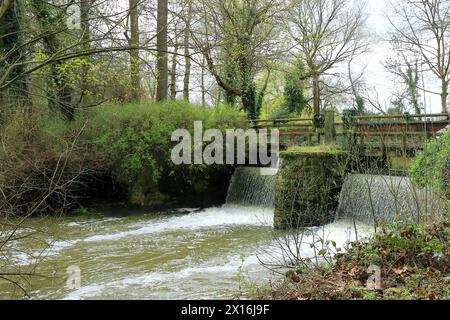 Das Schleusentor steuert den Fluss Eden in Kent Stockfoto