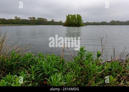 Spaziergang um den Kralingen See das städtische Naturreservat rund um den Kralingen Lake & Forrest ist ein meist gut genutztes Freizeit- und Aktivitätengebiet für die Bewohner von Rotterdam - den Haag Region, vergleichbar mit dem New Yorker Central Park. Nur viel größer. Blick auf den See mit Insel. Rotterdam, Niederlande. Rotterdam Kralingse Bos / Kralingse Plas Zuid-Holland Nederland Copyright: XGuidoxKoppesx Stockfoto