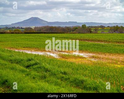 Blick auf die wasserdurchnässten Felder in Richtung Wrekin in Shropshire England Großbritannien, fotografiert im April 2024 nach einem der feuchtesten Winter aller Zeiten. Stockfoto