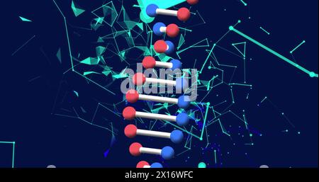 Bild des dna-Strangs über Netzwerk von Verbindungen auf schwarzem Hintergrund Stockfoto