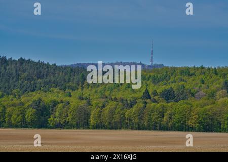 Niederschlesien farbenfrohe Frühlingslandschaft Niederschlesien Polen Stockfoto