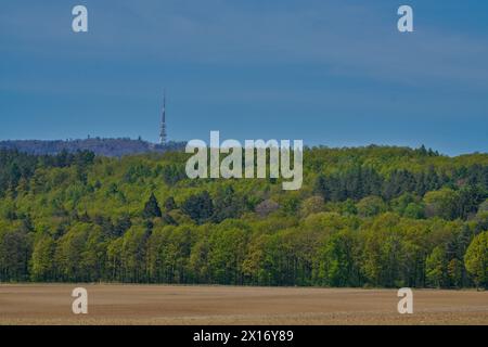 Niederschlesien farbenfrohe Frühlingslandschaft Niederschlesien Polen Stockfoto