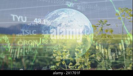Abbildung von Diagrammen und Datenverarbeitung mit Globus über Feld Stockfoto