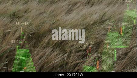 Abbildung von Diagrammen und Datenverarbeitung über Graswingen Stockfoto