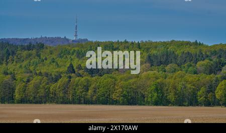 Niederschlesien farbenfrohe Frühlingslandschaft Niederschlesien Polen Stockfoto