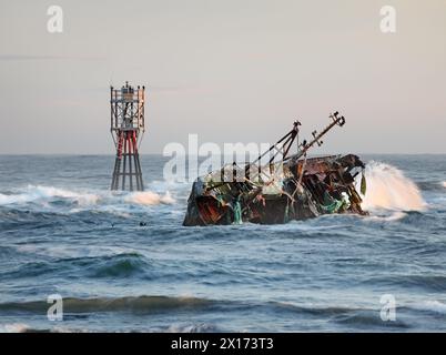 Das Wrack des Sovereign (BF380), ein von Banff registriertes Fischerboot, das 2005 auf den Felsen des Cairnbulg Harbour in Schottland auf Grund lief Stockfoto