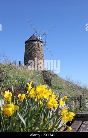 St Monans Windmühle, die im 18. Jahrhundert zur Salzgewinnung genutzt wurde, St Monans, Ostküste Schottlands, Großbritannien Stockfoto