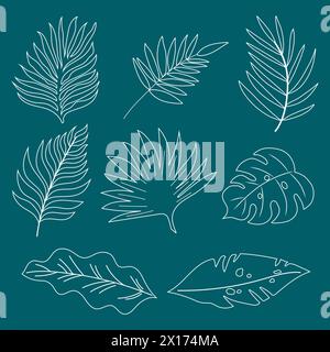 Tropisches Set aus Palmenblättern. Handgezeichnetes Vektor-Design. Stock Vektor