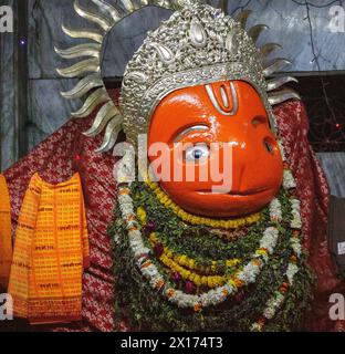 Orangefarbene Statue von Hanuman in Varanasi, Indien. Stockfoto