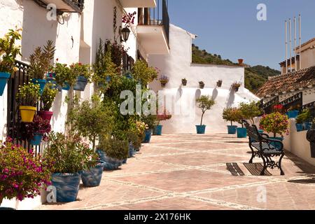 Weiß bemalte Häuser mit den berühmten blauen Blumentöpfen an der Wand und Blumentöpfe am Boden, im wunderschönen Bergdorf Mijas. Stockfoto