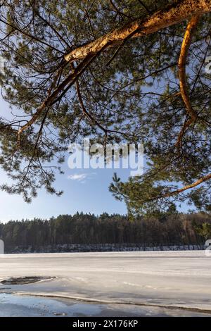 Die eisbedeckte Oberfläche des Flusses in der Wintersaison, das Wasser gefrorenen im Fluss während der Fröste der Wintersaison Stockfoto