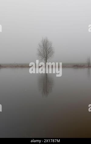 see im Winter bei Nebel, nebeliger Tag auf dem See im Winter Stockfoto