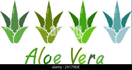 Vektorsatz von Aloe Vera Pflanzensymbolen isoliert auf weißem Hintergrund. Naturheilkunde pflanzliches Gesundheitssymbol. aloe Vera Text Stock Vektor