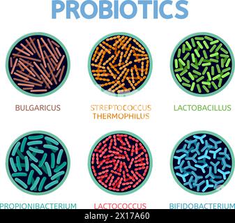 Abstrakte bakteriologische Vektorsymbole isoliert auf weißem Hintergrund. Bulgaricus, Streptococcus thermophilus, lactobacillus, propionibacterium, lactococcus Stock Vektor