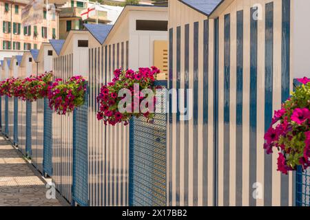 gestreifte weiße blaue Strandhütten am Strand Santa Margherita Ligure an einem sonnigen Tag Stockfoto