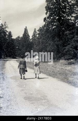 1950er Jahre, historisch, zwei gut gekleidete Damen spazieren auf einem Schotterweg neben einem Wald, England, Großbritannien. Stockfoto