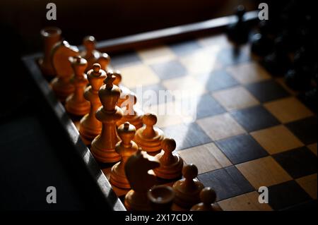 Hölzerne Schachfiguren auf einem alten Brett in der Sonne Stockfoto