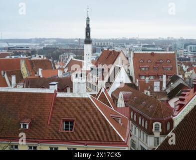 Stadtpanorama der Altstadt von Tallinn, Estland Stockfoto