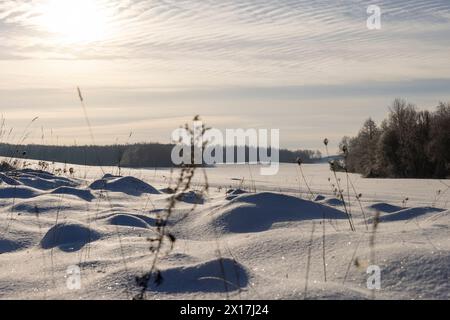 Tiefe Schneefälle im Winter, große Schneemengen nach Schneefall bei sonnigem Wetter Stockfoto