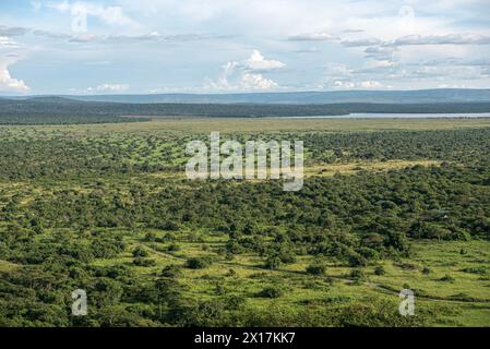 Begeben Sie sich auf eine visuelle Reise durch die faszinierende Schönheit des Lake Mburo in Uganda, wo üppiges Grün und hoch aufragende Bäume das ruhige Wasser umgeben, o Stockfoto