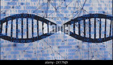 Bild eines dna-Strangs mit Datenverarbeitung mit binärer Kodierung über ein Netzwerk von Verbindungen Stockfoto