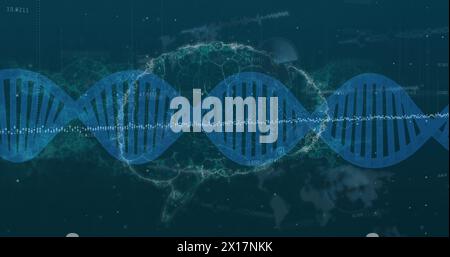 Bild des dna-Strangs, der sich über menschlichem Gehirn dreht und Datenverarbeitung Stockfoto