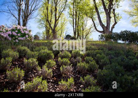 DE - BAYERN: Frühling auf Buchberg bei Bad Tölz, Oberbayern (Fotografie von EdmundNagele FRPS) Stockfoto