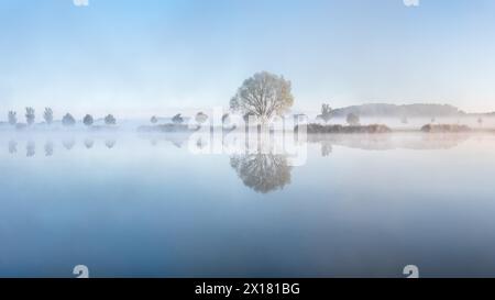 Still See mit Morgennebel im sanften Morgenlicht, ein Baum steht am Ufer, Landschaft spiegelt sich im Wasser, Thüringen, Deutschland Stockfoto