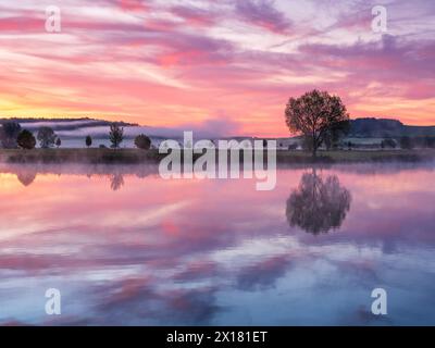 Still See mit Morgennebel bei Sonnenauf- und -Aufgang, ein Baum steht am Ufer, Wolken und Landschaft spiegeln sich im Wasser, Thüringen, Deutschland Stockfoto