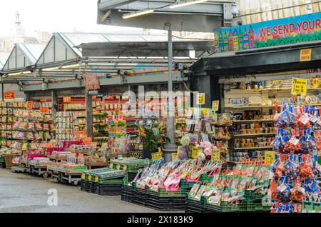 Berühmter Amsterdamer Blumenmarkt. Februar 2024 Stockfoto