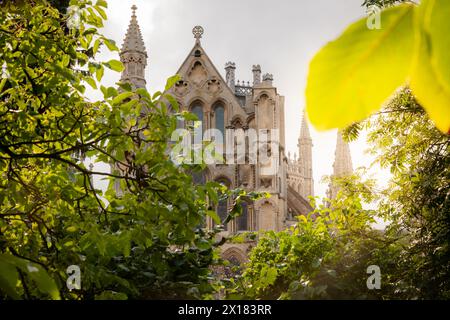 Ely Cathedral, Ely, Cambridgeshire, Großbritannien 2024 Stockfoto