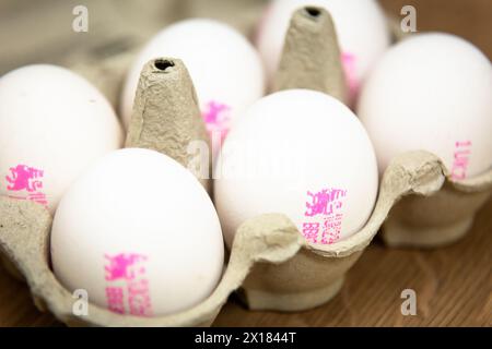 Karton mit sechs weißen Hühnereiern Stockfoto