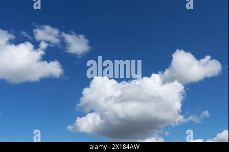 Cumulus-Wolken am blauen Himmel Stockfoto