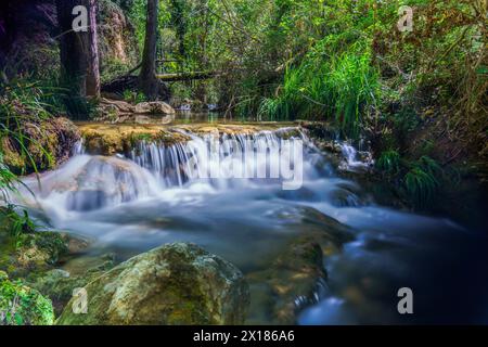 Langzeitfoto mit Seideneffekt von einem Wasserfall in einem Gebirgsbach mit üppiger Vegetation Stockfoto