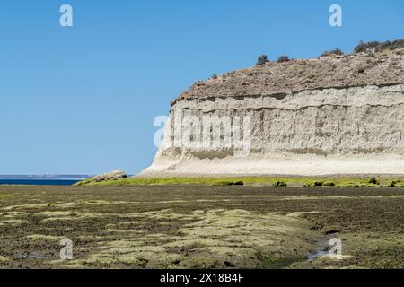 Playa el doradillo, Puerto Madryn, Provinz Chubut, Argentinien Stockfoto