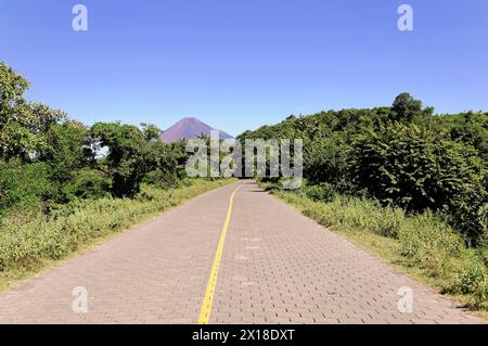 In der Nähe von Leon, Nicaragua, Ein einsamer Pfad umgeben von grünen Bäumen mit Vulkanen im Hintergrund, Leon, Mittelamerika, Mittelamerika - Stockfoto