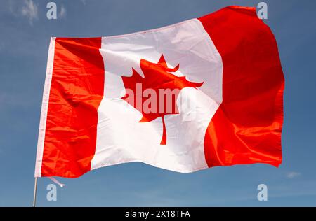 Die Nationalflagge Kanadas fliegt am Fahnenmast gegen blauen Himmel Stockfoto