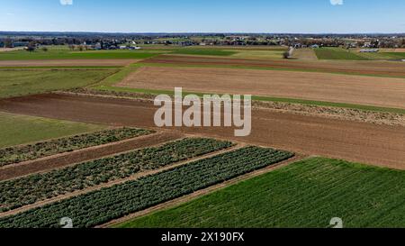 Diese Hochwinkelaufnahme erfasst einen riesigen Wandteppich von Ackerland, mit fruchtbaren Böden, die zum Anpflanzen bereit sind, und anderen, die reich an Getreide sind. Ideal für Landwirtschaft und Landbewirtschaftung. Stockfoto