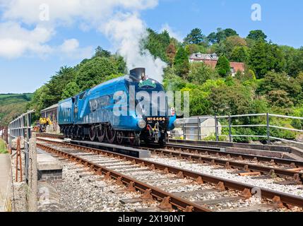 Großbritannien, England, Devon, LNER A4 Pacific 'Bittern', die im August 2012 die Kingswear Station an der Dartmouth Steam Railway besuchen Stockfoto