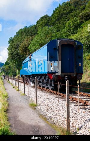UK, England, Devon, LNER A4 Pacific 'Bittern' zu Besuch bei Kingswear Station an der Dartmouth Steam Railway Stockfoto