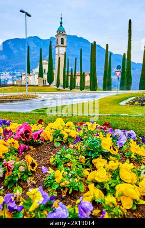 Buntes Blumenbeet und Sant'Abbondio Chuch mit Zypressen auf dem Hintergrund, Collina d'Oro, Schweiz Stockfoto