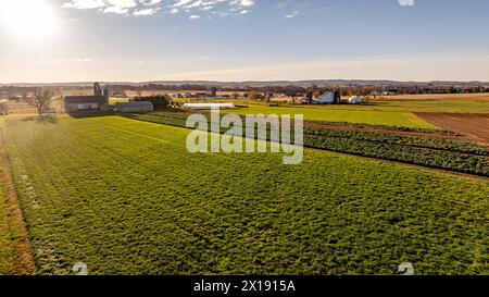 Das warme Licht des Sonnenaufgangs beleuchtet grüne Felder und Bauernhöfe und zeigt das ländliche Leben und die heitere Schönheit der Landwirtschaft. Stockfoto