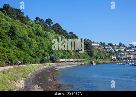 England, Devon, GWR Dampflokomotive Nr. 5239 „Goliath“, Abfahrt von Kingswear Station auf der Dartmouth Steam Railway Stockfoto
