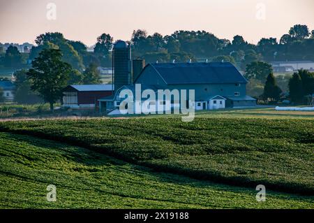 Ronks, Pennsylvania, USA, 20. August 2023 - der Tag erwacht über einem klassischen Bauernhof mit Scheunen und Silos, die hoch auf den Feldern stehen, ein malerischer Ort für Geschichten über Landwirtschaft, Erbe und ländliche Gemeinschaft. Stockfoto